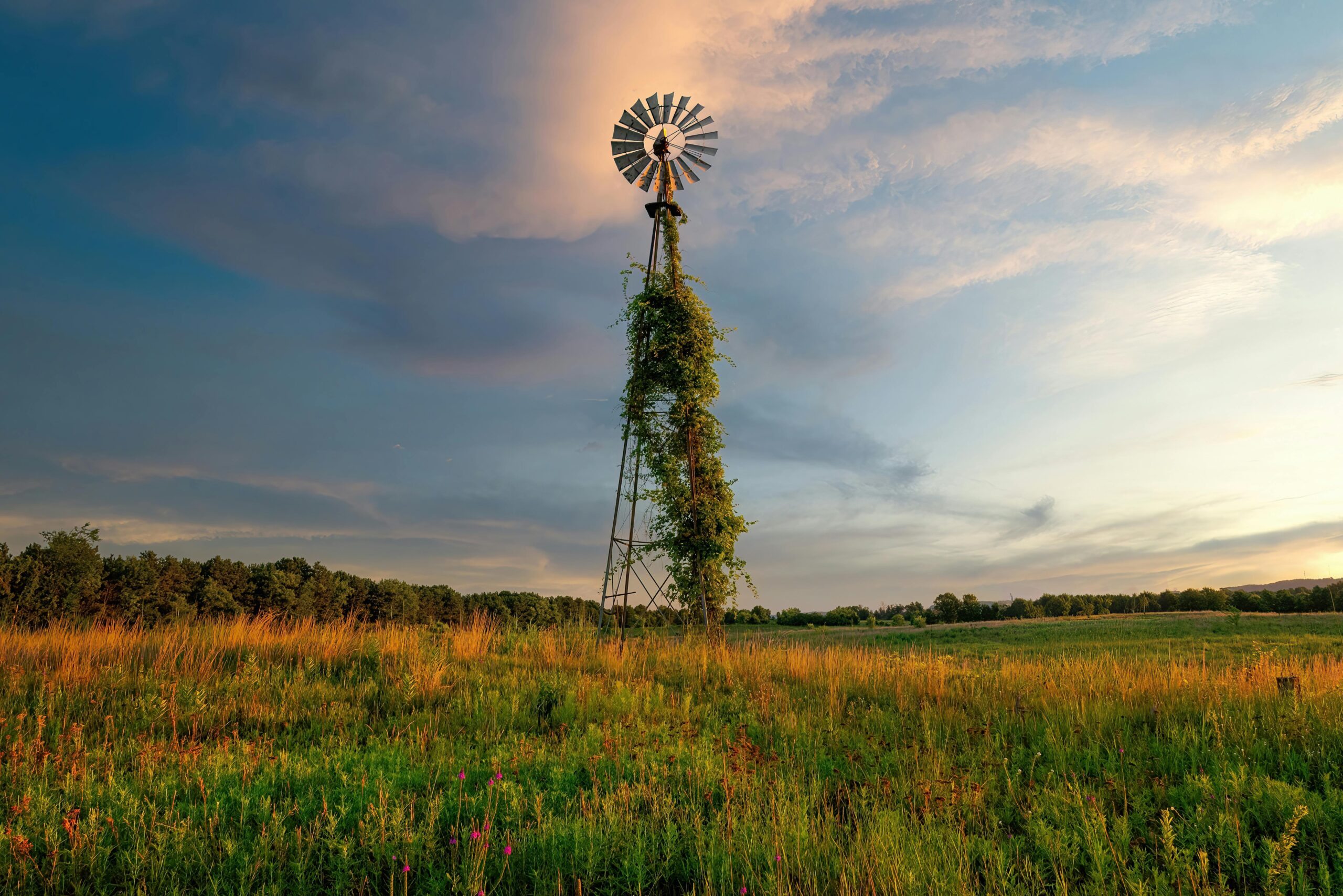 Phase 1 Success: What to Expect in Your First 6 Months of Treasury Management Transformation